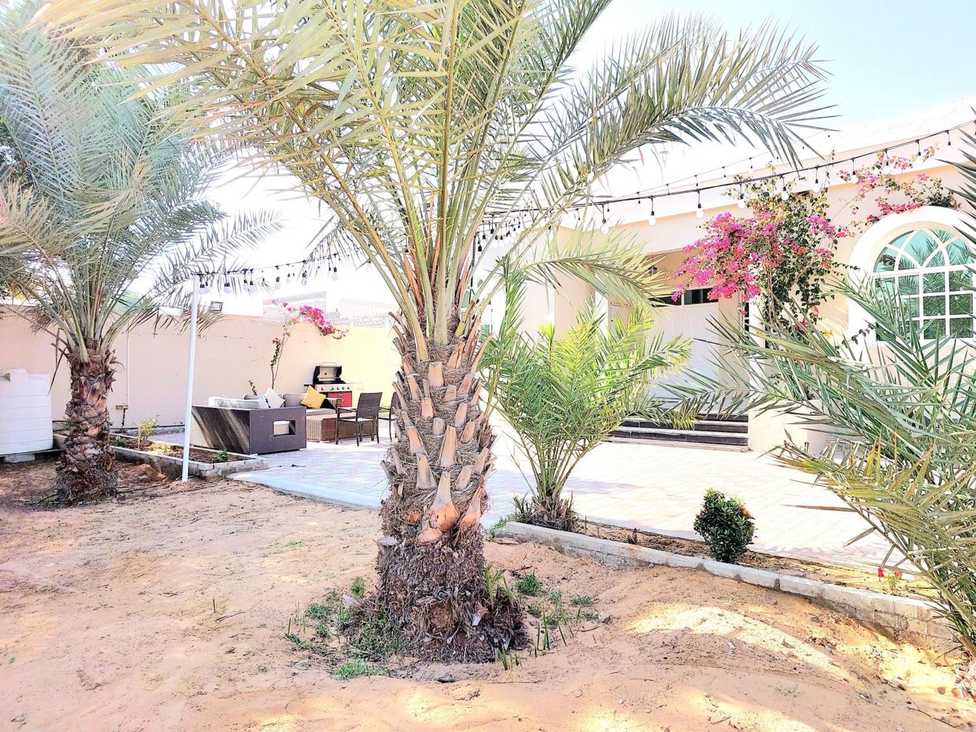 Villa 9 Palms Beach Ras al-Khaimah Exterior photo